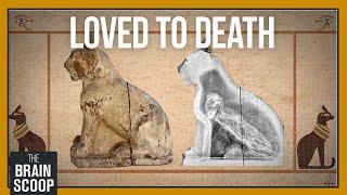 Why were Ancient Egyptians obsessed with cats?