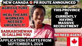 THIS PROVINCE IN CANADA NEEDS AGRICULTURE AND HEALTHCARE WORKERS | MASSIVE RECRUITMENT | PR ROUTE