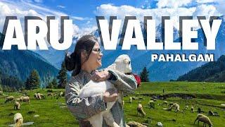 Aru Valley Pahalgam | Pahalgam Trip | Pahalgam Taxi stand  | Aru Valley main information | Full Tour