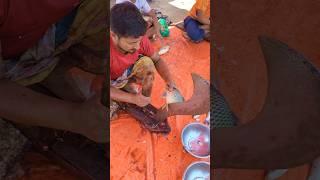 Carp Fish Cutting Skills #shorts #fishcutting #shortvideo #youtubeshorts #fishing