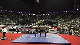 Crew Bold – Pommel Horse – 2019 U.S. Gymnastics Championships – Junior Men Day 1