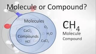 Molecule vs Compound: Examples and Practice