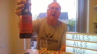 Dog's Window Brewery - Son of Fetch beer review