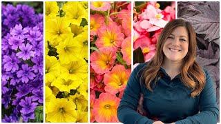 5 Must-Have Annuals for 2023!  // Garden Answer