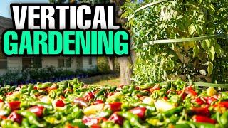 HUGE GreenStalk Pepper Harvest! Grow More Peppers In Less Space!