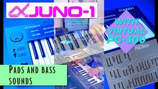 Exploring Alpha Juno Pads and Bass Sounds With Virtual PG-300 (Much More Than Hoover!)