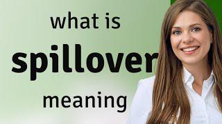 Spillover | SPILLOVER definition