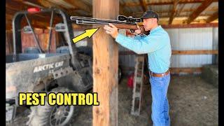 Ranch Pest Control PCP AIRGUN [BEEMAN QB CHIEF .22]