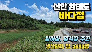 [목포토지사랑 242] 신안 암태도 바다접하고 선착장 가까운땅 / 양식장, 양어장 수산업 관련부지추천 / 생산관리 / 답 / 1,633py / 매매가 1억원(3.3당 61,200)