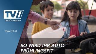 Das gilt es beim Auto-Frühlingscheck zu beachten