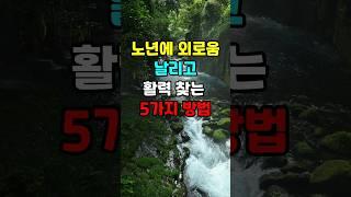 노년에 외로움을 날리고 활력을 찾는 5가지  #지혜 #명언  #좋은글 #건강 #shorts
