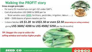 Maximizing Profits with Green Mealies Production