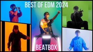 SO-SO - Best Of EDM 2024 Beatbox Mix