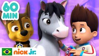 Patrulha Canina| 1 hora de Patrulha Canina salvando animais! | Nick Jr. em Português