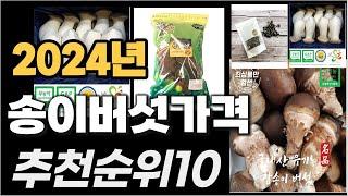 송이버섯가격 이거사시면 됩니다 2024년 추천 TOP10