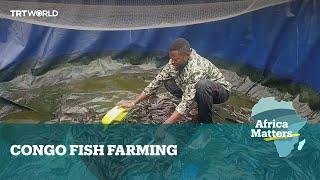 Africa Matters: Congolese farmers move fishing above ground