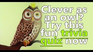 Trivia quiz for clever owls