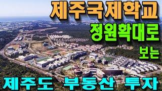 제주 국제학교 정원 확대로 보는 제주도 부동산 투자