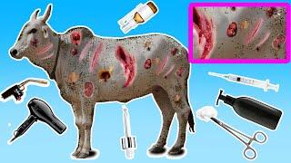 ASMR Wound treatment for Cows: Bathing, Disinfection, Applying medicine | Animals Care Cartoon