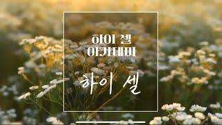 하이셀 아카데미 - 황명희 작가 프로필