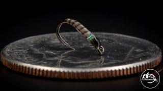 Cheat Code MIDGE Nymph! | Overachiever Midge | Fly Tying Tutorial