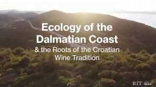 Explore the Ecology and Wine Making Traditions of Croatia - Summer Program