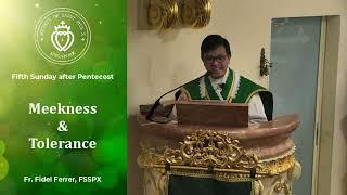 Meekness and Tolerance - Sermon by Fr Ferrer (2 Jul 2023)