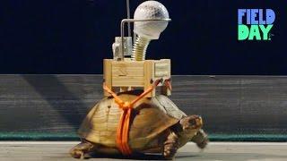 World's Slowest Rube Goldberg | Field Day Presents Bob Partington
