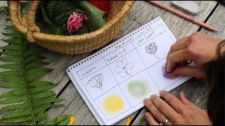 Color Smash! - A Nature Journal Activity