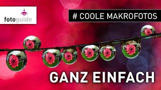 # Coole Makrofotos – ganz einfach!