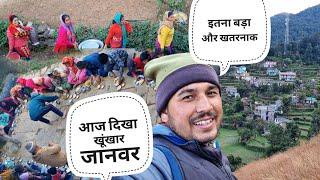 इस खूंखार जानवर देख सब हैरान || Pahadi Village Lifestyle Vlog || Pahad Wale Bhaiya.