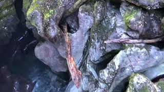 The Chasm - Fiordland National Park NZ