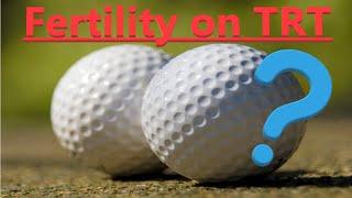 Fertility & Testosterone