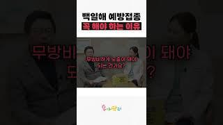백일해 신생아 예방접종 언제?