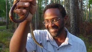 Herpetology Science Mentor