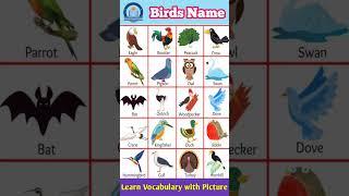 Birds Name English Vocabulary