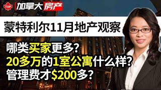 蒙特利尔11月地产观察：哪类买家更多？20多万的1室公寓什么样？管理费才200多？| YangYang Zhang