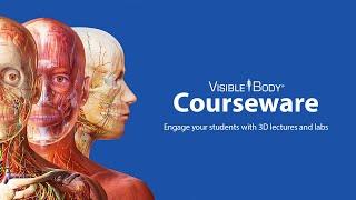 Visible Body Courseware | Engage students with 3D lectures and labs on and off campus!