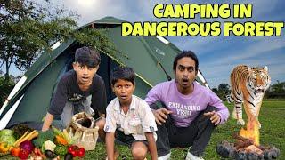 Group Camping In Forest | Camping In India | Camping Videos |