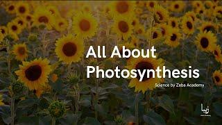 All About Photosynthesis | Science by Zeba Academy