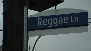 About "Reggae Lane" in Toronto, Canada