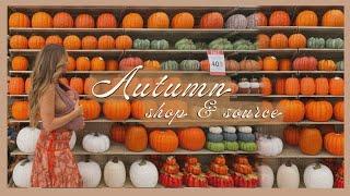 Shopping for fall decor...