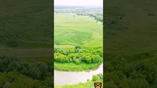 Золотой Скиталец. В поисках клада.