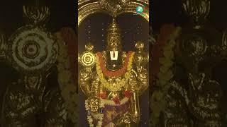 ವೆಂಕಟೇಶ್ವರ ಜಯ ಜಯ | Venkateshwara Jaya Jaya | Shree Venkateshwara Swmy Devotional Song