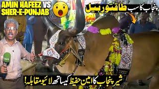 Qurbani 2025 | Sher Punjab VS Amin Hafeez Live Competition | Cattle Farm 2025 | Discover Pakistan