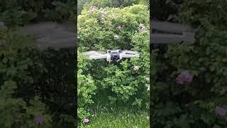 DJI Mini 3 Pro#shorts#djimini3