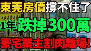 【1年跌掉300萬】東莞房價撐不住了！豪宅業主割肉離場，有錢人也開始慌了！#房價 #東莞 #樓市 #豪宅 #財經 #樓盤 #財經節目