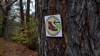 Königsbrück OT Gräfenhain: Unterwegs auf dem Gräfenhainer Wanderschuh - LAUSITZWELLE