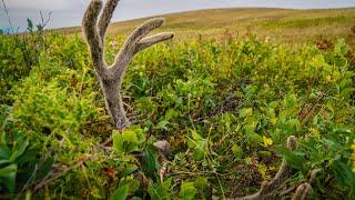 | Archery Muley Buck Hunt | 2021| Buck Down!!!!