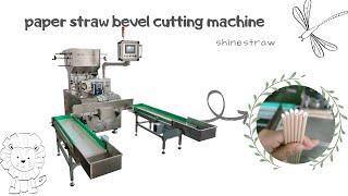 Paper straw 45° cutting machine cut 3.8mm straws